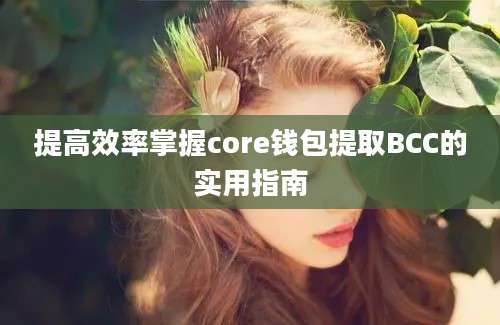 提高效率掌握core钱包提取BCC的实用指南