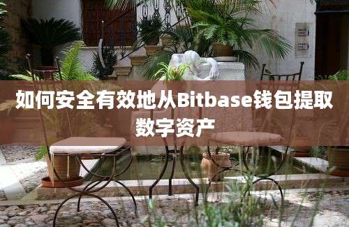 如何安全有效地从Bitbase钱包提取数字资产