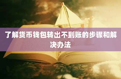 了解货币钱包转出不到账的步骤和解决办法