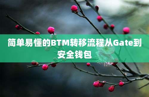 简单易懂的BTM转移流程从Gate到安全钱包