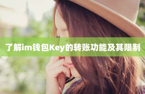 了解im钱包Key的转账功能及其限制