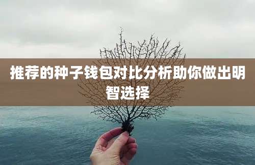 推荐的种子钱包对比分析助你做出明智选择