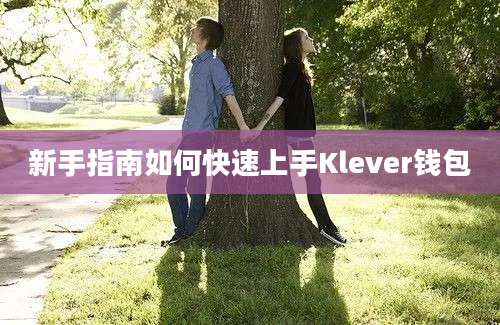 新手指南如何快速上手Klever钱包