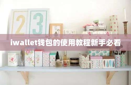 iwallet钱包的使用教程新手必看