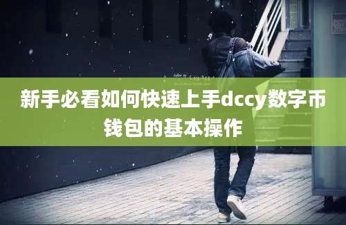 新手必看如何快速上手dccy数字币钱包的基本操作