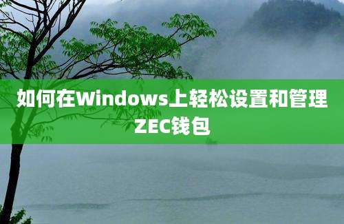 如何在Windows上轻松设置和管理ZEC钱包