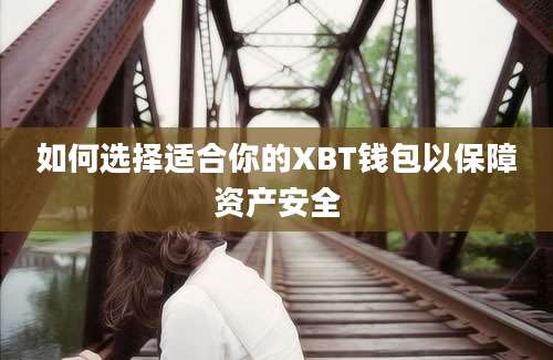 如何选择适合你的XBT钱包以保障资产安全