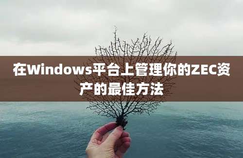 在Windows平台上管理你的ZEC资产的最佳方法