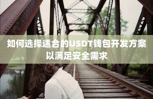 如何选择适合的USDT钱包开发方案以满足安全需求