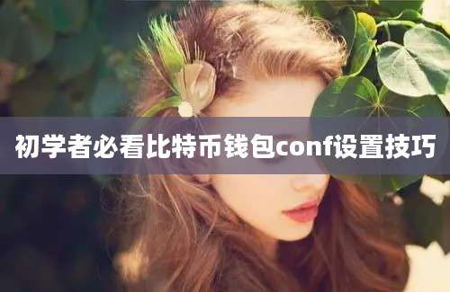 初学者必看比特币钱包conf设置技巧