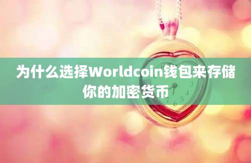 为什么选择Worldcoin钱包来存储你的加密货币