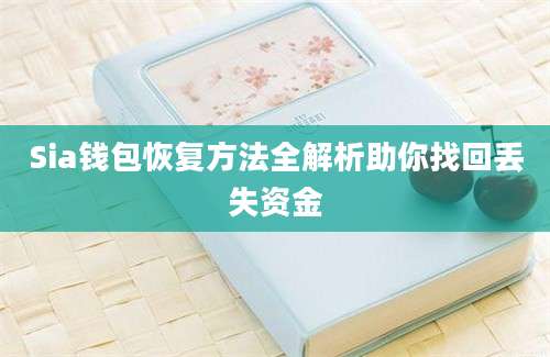 Sia钱包恢复方法全解析助你找回丢失资金