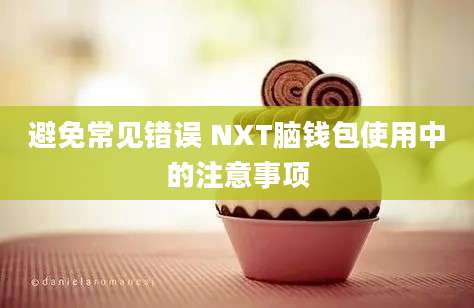 避免常见错误 NXT脑钱包使用中的注意事项