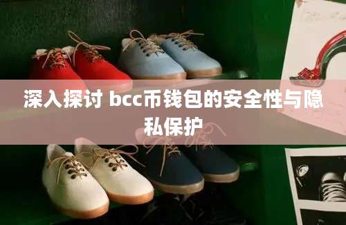 深入探讨 bcc币钱包的安全性与隐私保护