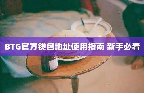 BTG官方钱包地址使用指南 新手必看