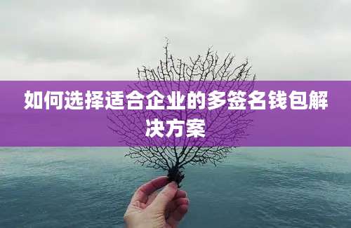 如何选择适合企业的多签名钱包解决方案