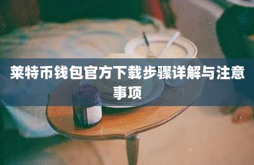 莱特币钱包官方下载步骤详解与注意事项