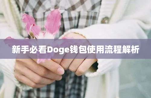 新手必看Doge钱包使用流程解析