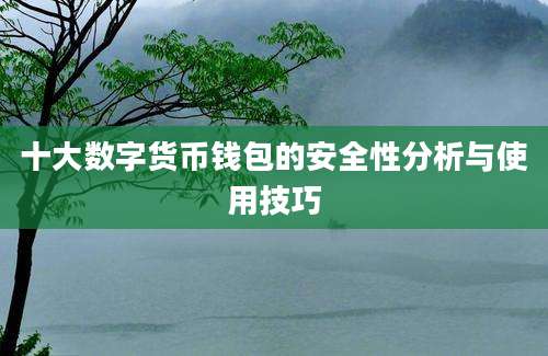 十大数字货币钱包的安全性分析与使用技巧