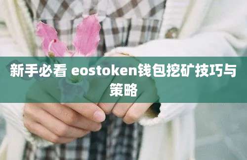 新手必看 eostoken钱包挖矿技巧与策略