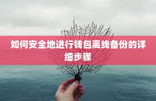 如何安全地进行钱包离线备份的详细步骤