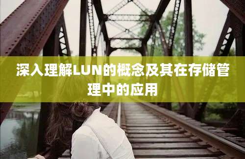 深入理解LUN的概念及其在存储管理中的应用