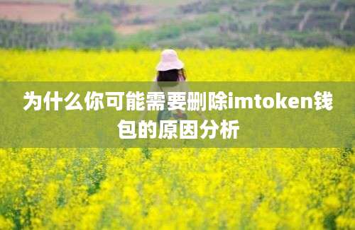 为什么你可能需要删除imtoken钱包的原因分析