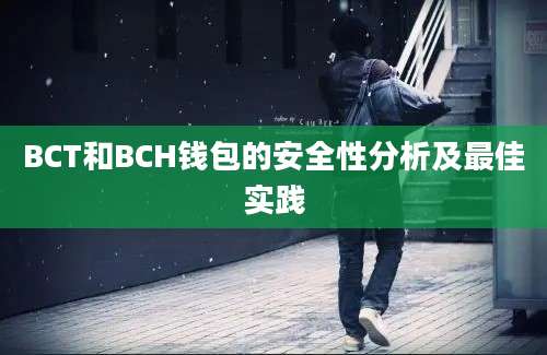 BCT和BCH钱包的安全性分析及最佳实践