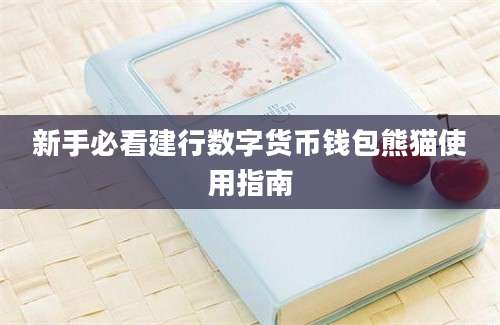 新手必看建行数字货币钱包熊猫使用指南