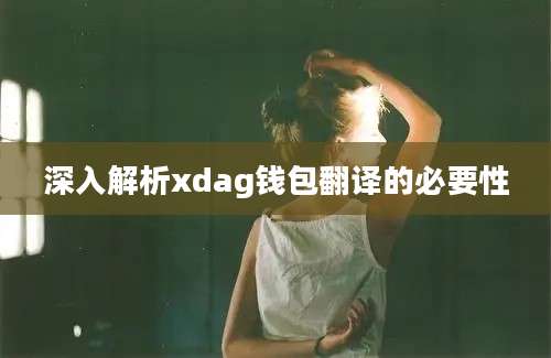 深入解析xdag钱包翻译的必要性