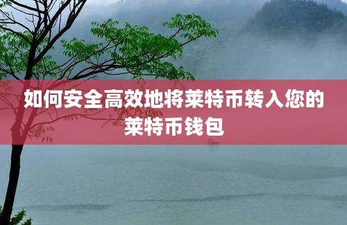 如何安全高效地将莱特币转入您的莱特币钱包