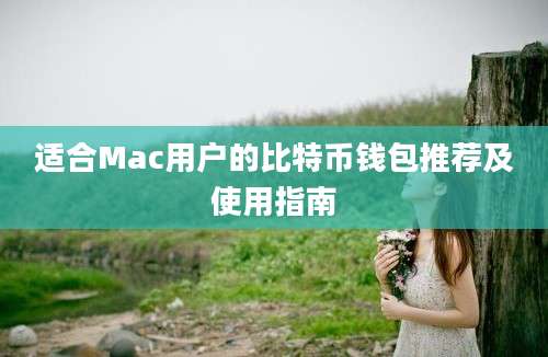 适合Mac用户的比特币钱包推荐及使用指南