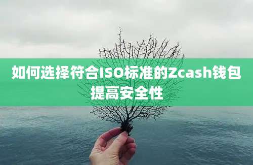 如何选择符合ISO标准的Zcash钱包提高安全性