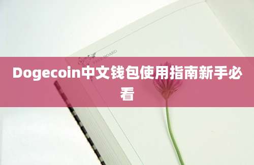 Dogecoin中文钱包使用指南新手必看