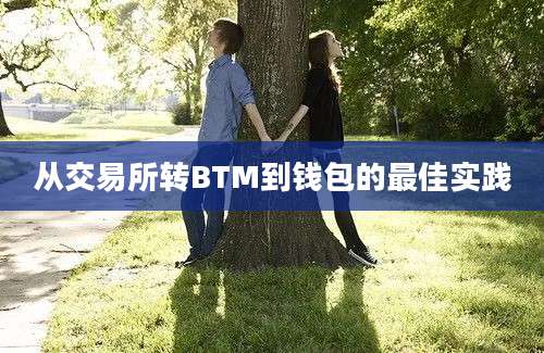 从交易所转BTM到钱包的最佳实践