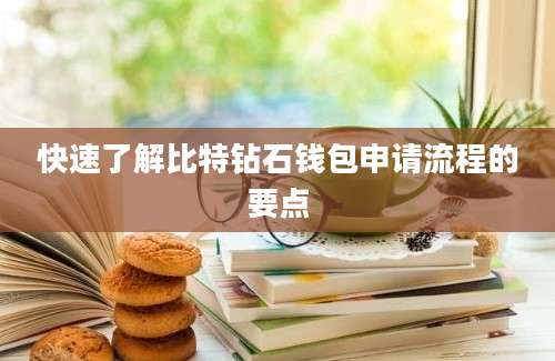 快速了解比特钻石钱包申请流程的要点