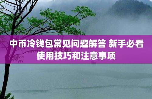 中币冷钱包常见问题解答 新手必看使用技巧和注意事项