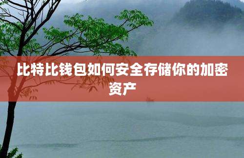 比特比钱包如何安全存储你的加密资产