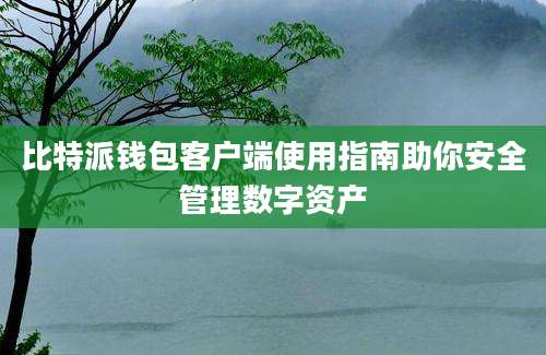 比特派钱包客户端使用指南助你安全管理数字资产