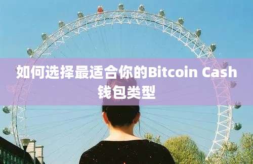 如何选择最适合你的Bitcoin Cash钱包类型