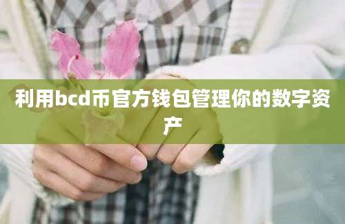 利用bcd币官方钱包管理你的数字资产