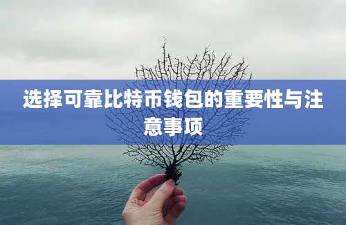 选择可靠比特币钱包的重要性与注意事项