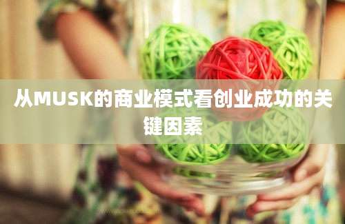 从MUSK的商业模式看创业成功的关键因素