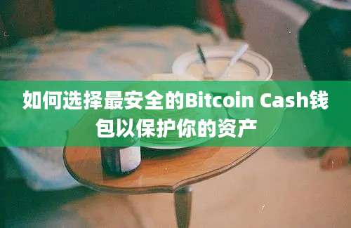 如何选择最安全的Bitcoin Cash钱包以保护你的资产