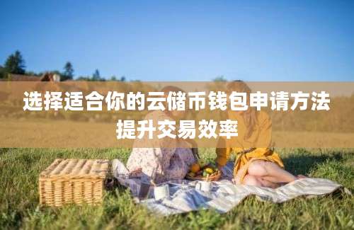 选择适合你的云储币钱包申请方法提升交易效率