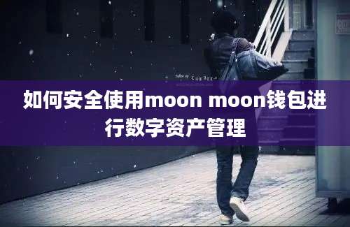 如何安全使用moon moon钱包进行数字资产管理