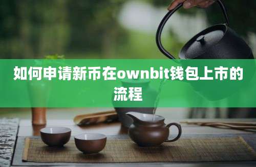 如何申请新币在ownbit钱包上市的流程