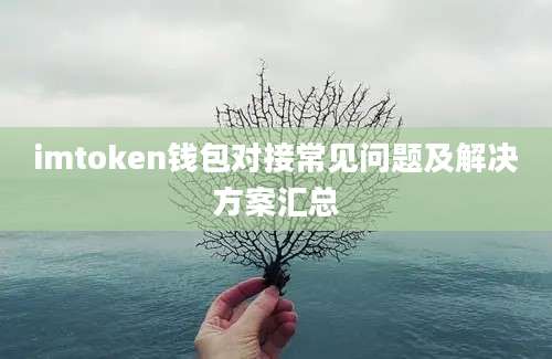 imtoken钱包对接常见问题及解决方案汇总