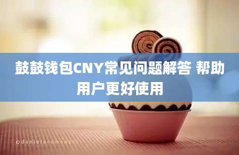 鼓鼓钱包CNY常见问题解答 帮助用户更好使用