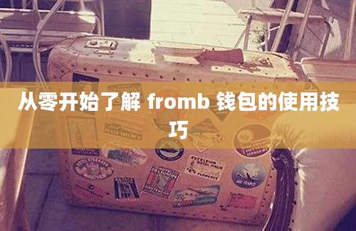 从零开始了解 fromb 钱包的使用技巧